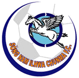 The Emblem of Chonma Ilhwa football team